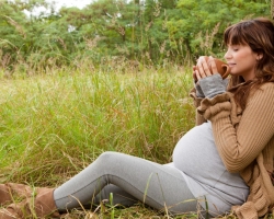 Quelles herbes peuvent être ivres pendant la grossesse, ce qui ne peut pas? Herbes diurétiques, cholétiques, expectorantes, hémostatiques, apaisantes pendant la grossesse