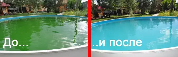Дезинфекция воды в бассейне зеленкой