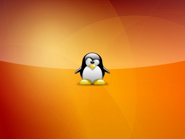 Linux Ubuntu - kaj je to? Kako namestiti Linux Ubuntu v računalnik?