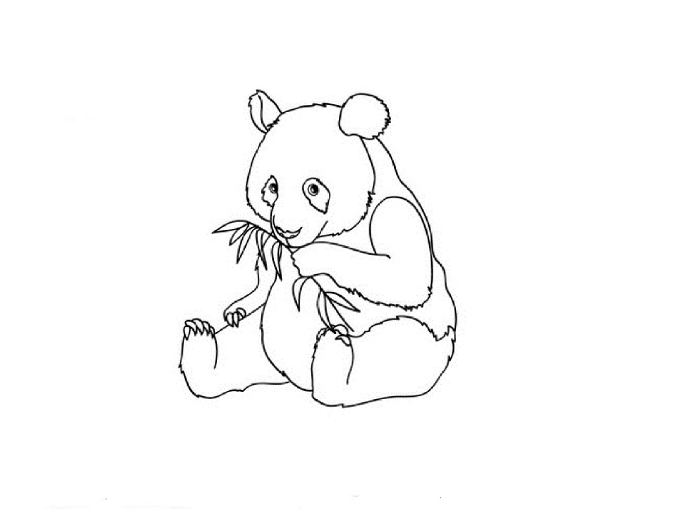 How to draw a panda on nails: manicure step by step