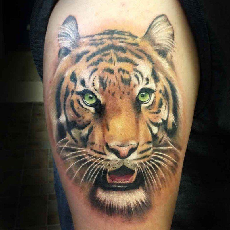 Цветное тату тигра