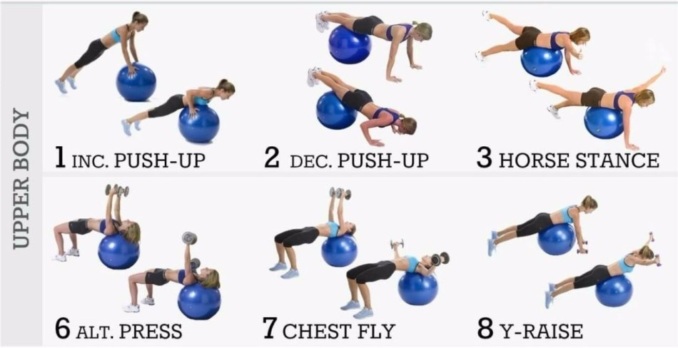 Exercises for training the upper body