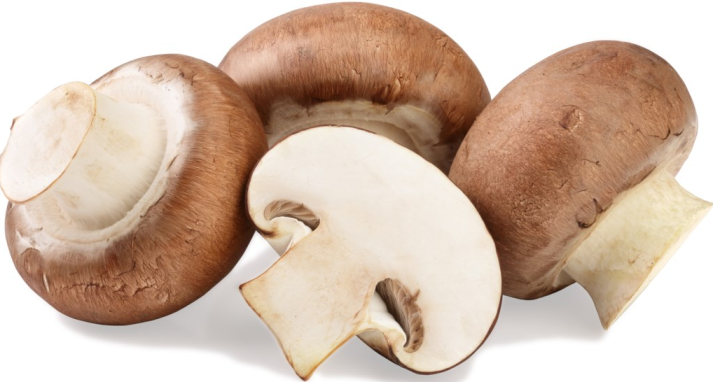 Königliche Champignons