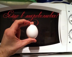 Как сварить яйца в микроволновке: правила, инструкции