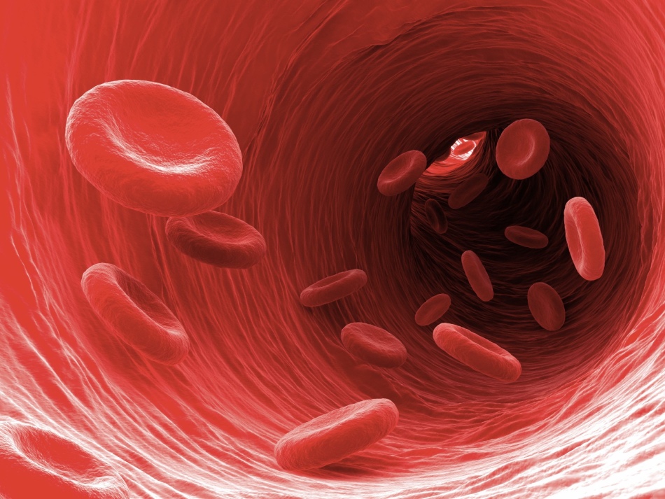 rdeče krvne celice
