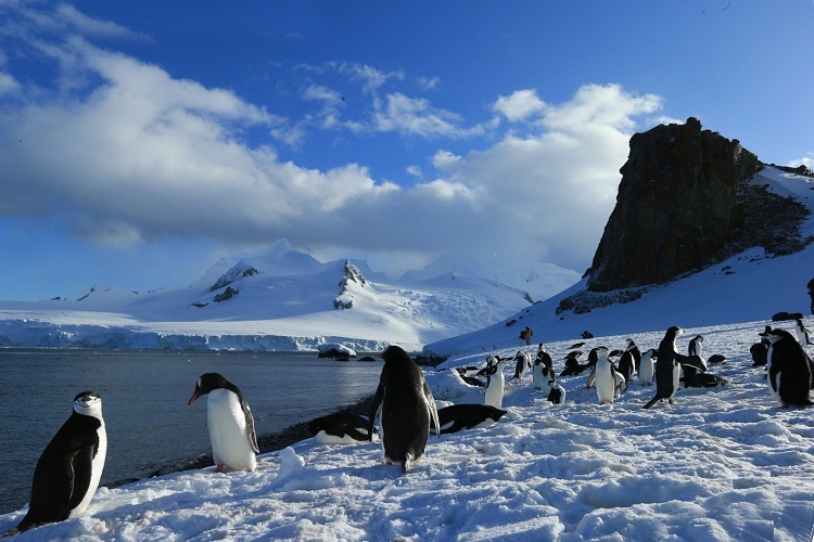 Instead of tourists, penguins and sea seals rest here