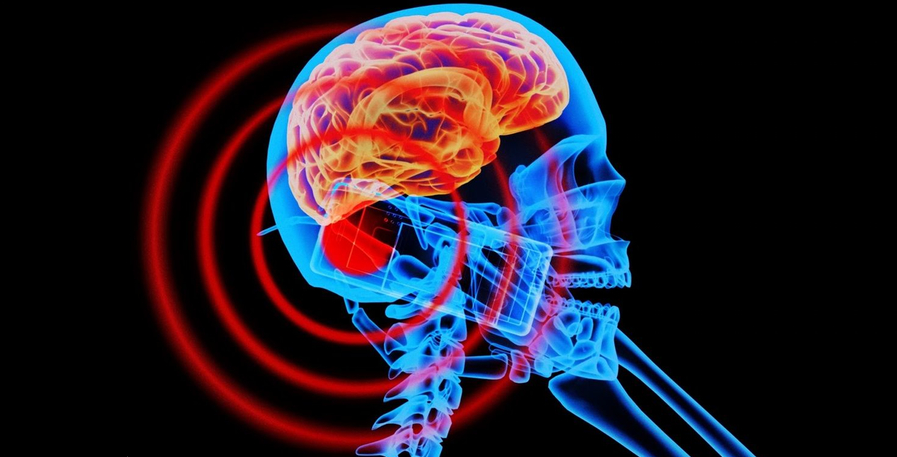Влияние электромагнитных излучений на мозг человека