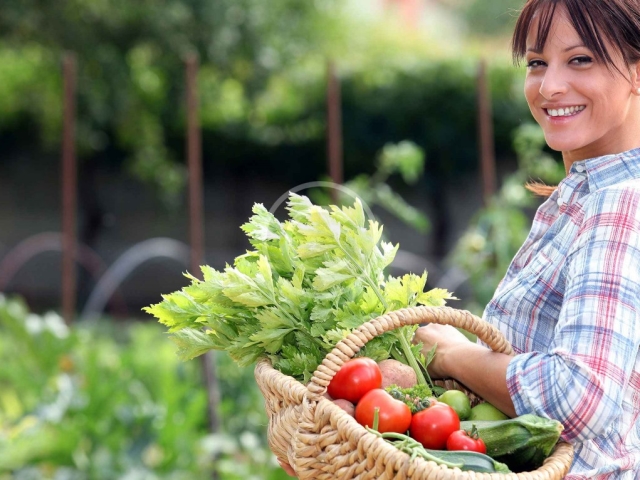 10 полезных советов огородников и садоводов для лучшего урожая