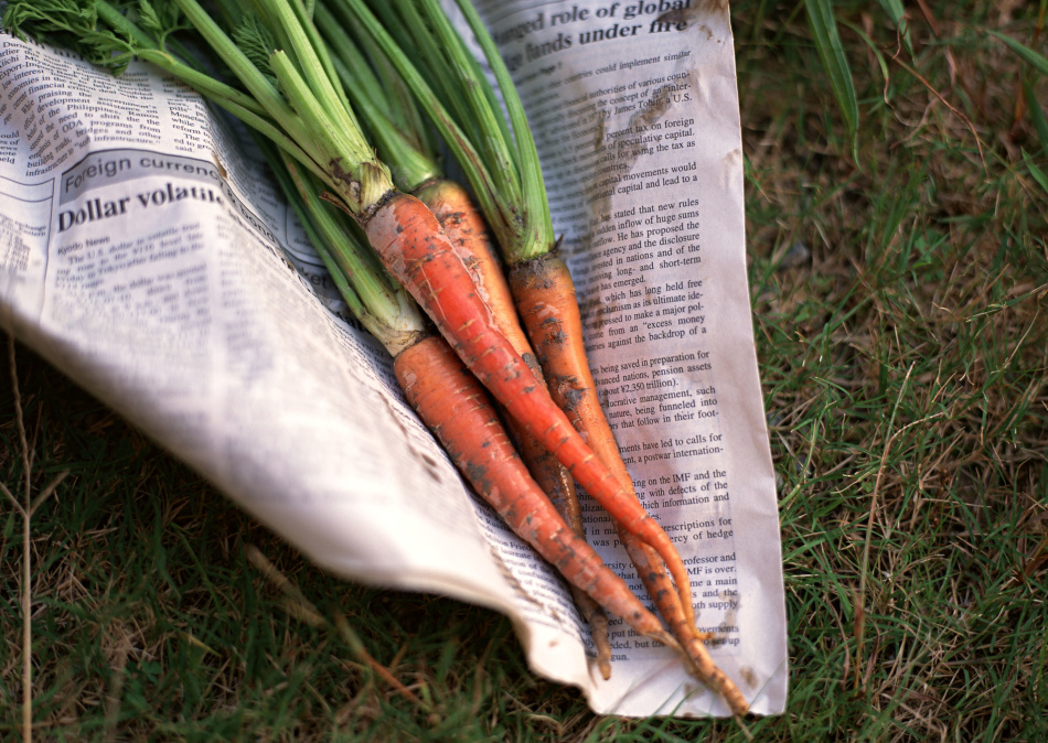 Légumes