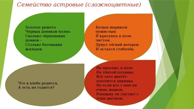 Загадки по биологии для презентации - лучшая подборка