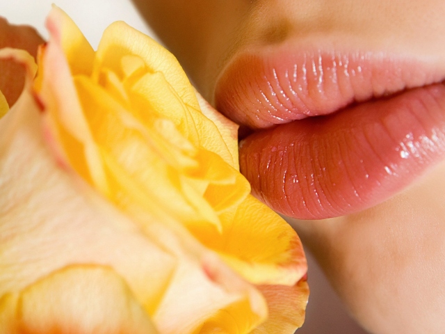 Comment prendre soin des lèvres en été et hiver: recettes de masques et de gommages maison, huiles de lèvres recommandées