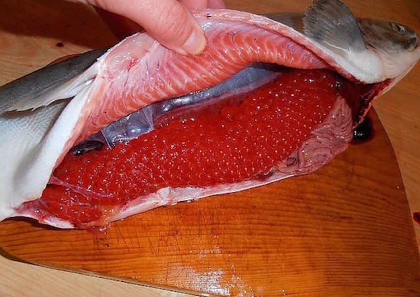Cara dengan cepat memberi hormat dengan cepat kaviar salmon merah muda: resep
