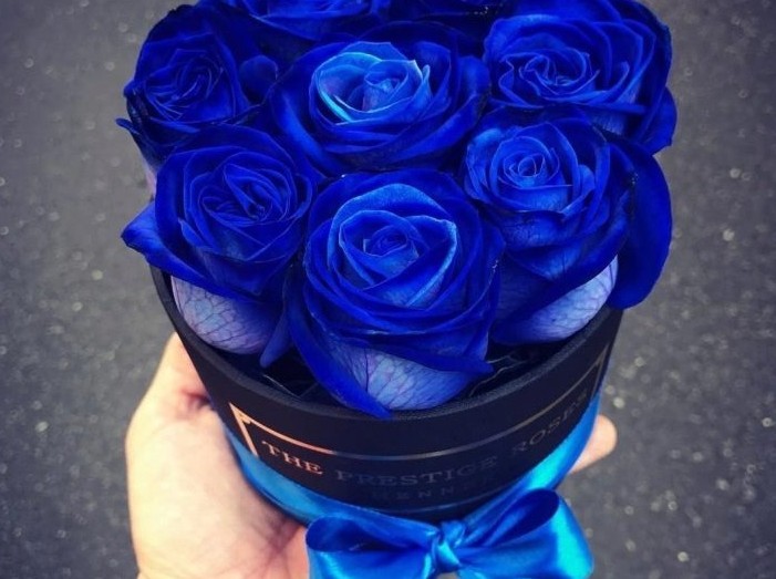 Bouquet con rosas azules en una caja