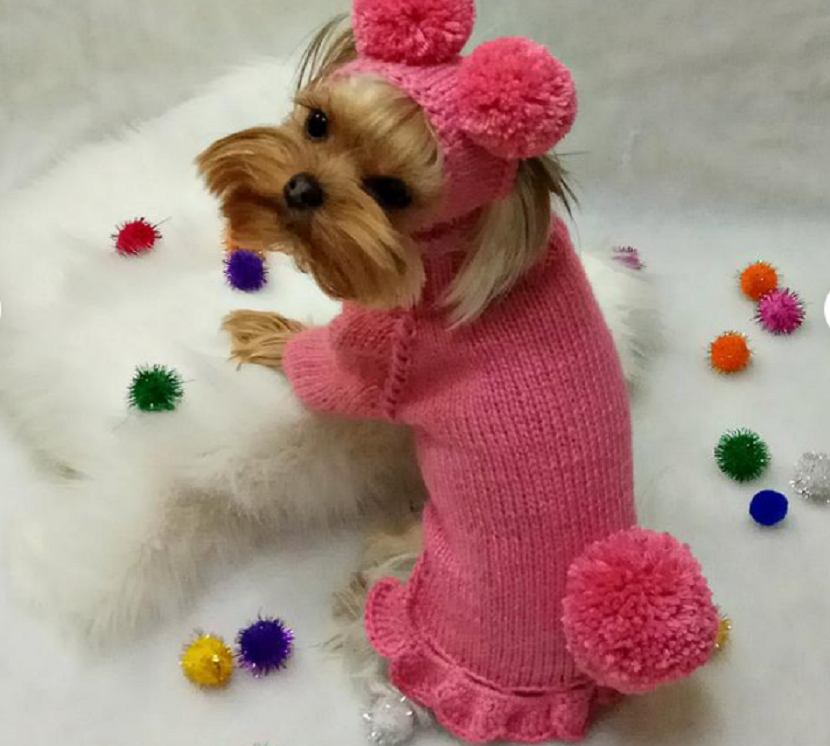 Комплект вязаной одежды для маленькой собаки