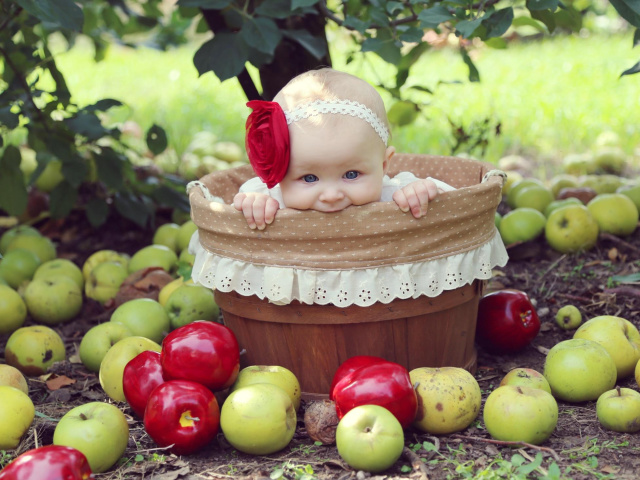 Со скольки месяцев можно давать грудному ребенку свежее, запеченное яблоко, компот, кисель из свежих и сушеных яблок? Яблоко детям давать: до еды или после? Блюда для грудных детей до года из яблок: лучшие рецепты