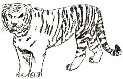 Add the strips on the skin of the tiger