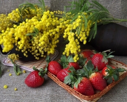 Un brin de Mimosa est un métier pour un jardin d'enfants avec vos propres mains: idées, photo. Comment faire une fleur de mimosa de vos propres mains pour les enfants du papier ondulé, des serviettes, du tissu, du coton, moussant pour un cadeau à maman d'ici le 8 mars: schéma, description, photo