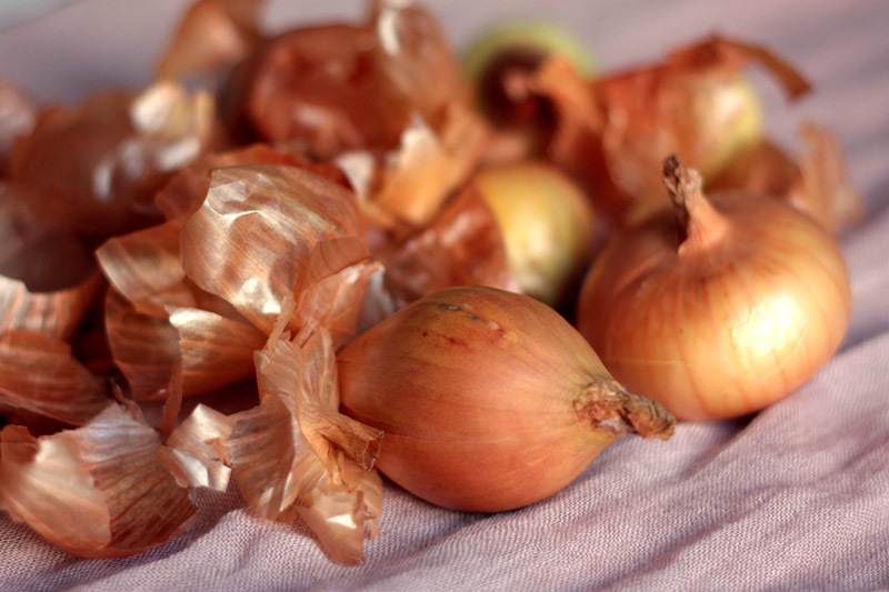 The benefits of onion husk