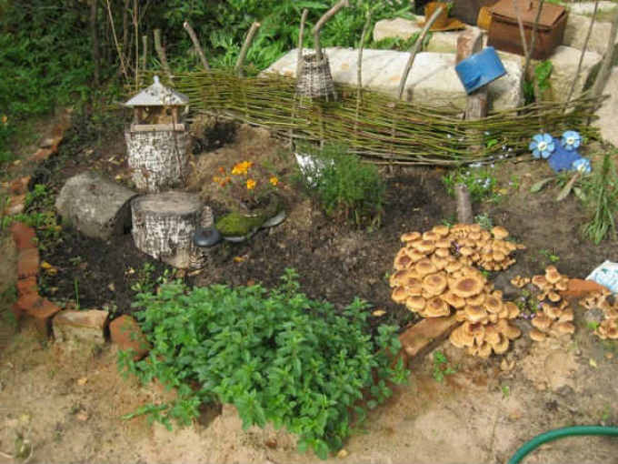 How to grow mushrooms in a country