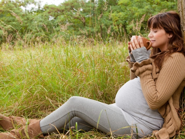 Herbal apa yang bisa diminum selama kehamilan, mana yang tidak bisa? Diuretik, koleretik, ekspekoran, hemostatik, menenangkan selama kehamilan