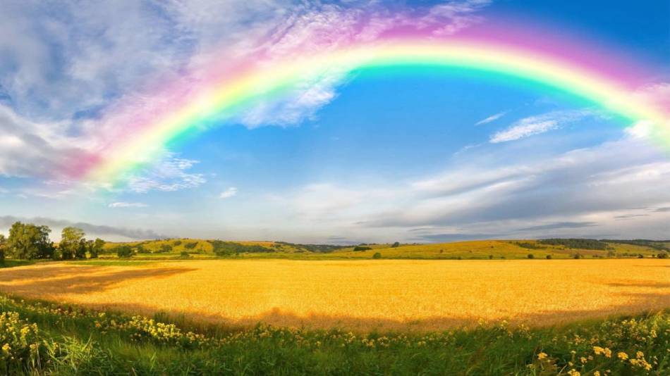 Why dream of a rainbow of color over the field?