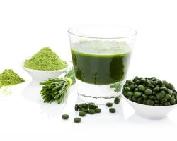 Spirulin algae: beneficial and medicinal properties, indications for use of women and men. Where to buy spirulina?