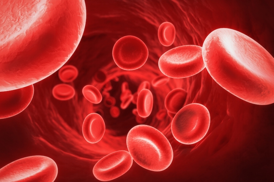 Vzroki za zmanjšanje hemoglobina v krvi