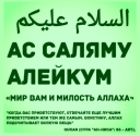 Црвена мачка или мачка: народни знакови и уверења. Шта треба да уради са црвеном мачком пронађеном мачком: одлази или не?