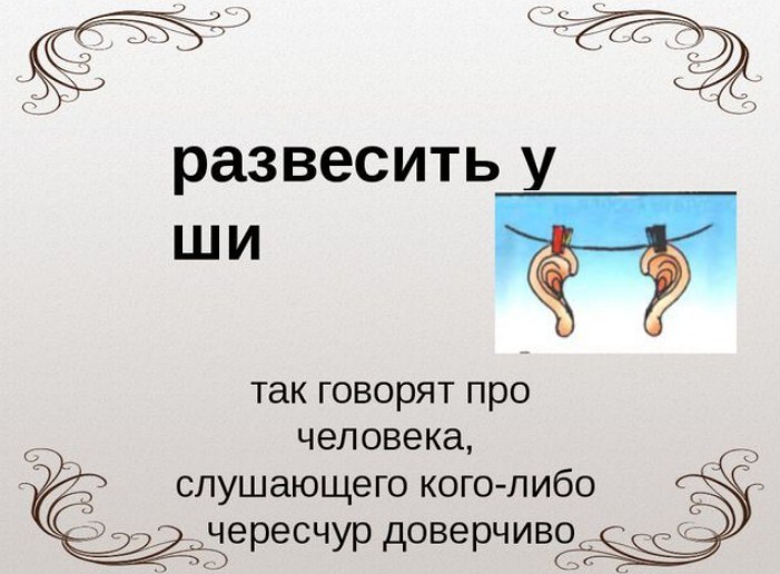 Уши развесил значение. Фразеологизм развесить уши. Развесить уши. Развесить уши значение фразеологизма. Что означает фразеологизм развесить уши.