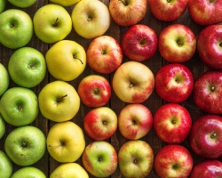 Apakah ada apel di perut kosong - apakah baik atau buruk untuk kesehatan, penurunan berat badan? Mengapa Anda tidak bisa makan apel dengan perut kosong?