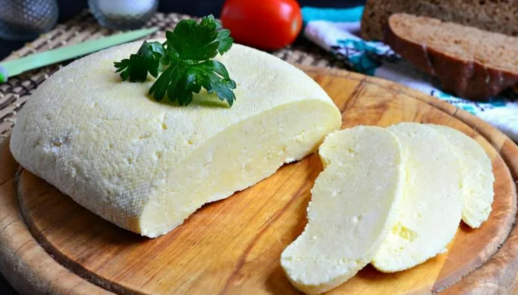 Homemade cheese with expired shelf life