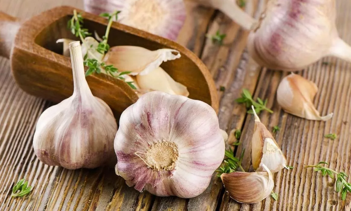 Garlic is an effective home method from varicose veins