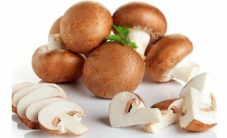 Königliche Champignons