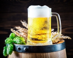 Alcoholic and non -alcoholic beer: what is the difference between them, the permissible daily dose, what can be the consequences of its excessive use? Is it useful or harmful to drink alcohol and non -alcoholic beer every day for women, adolescents, men?
