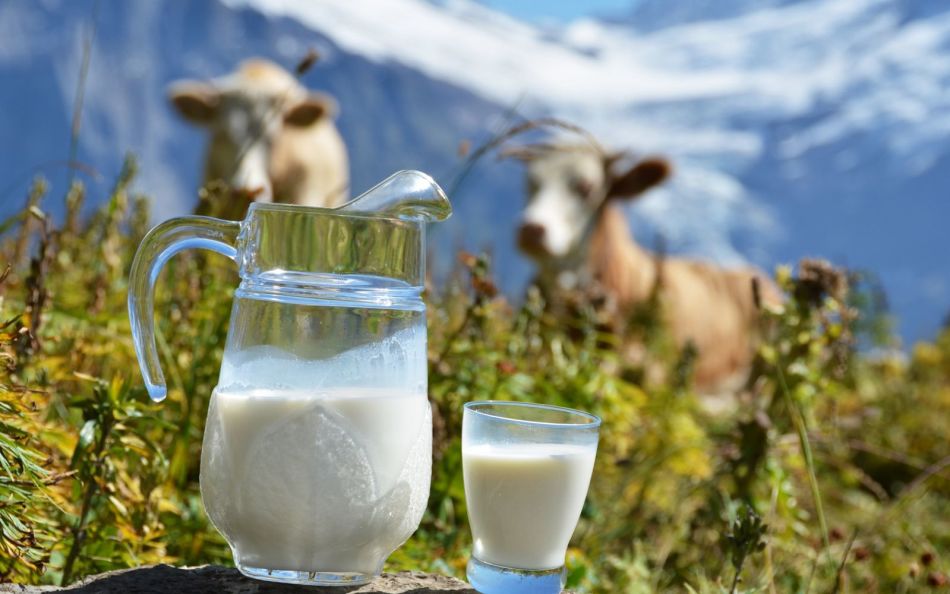 Domače mleko je idealno za ustvarjanje jogurta