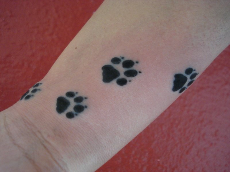 Small tattoo prints of cat's paws