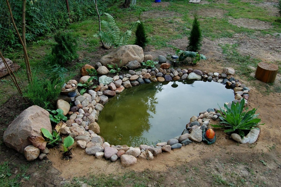 Alpine slide with a pond