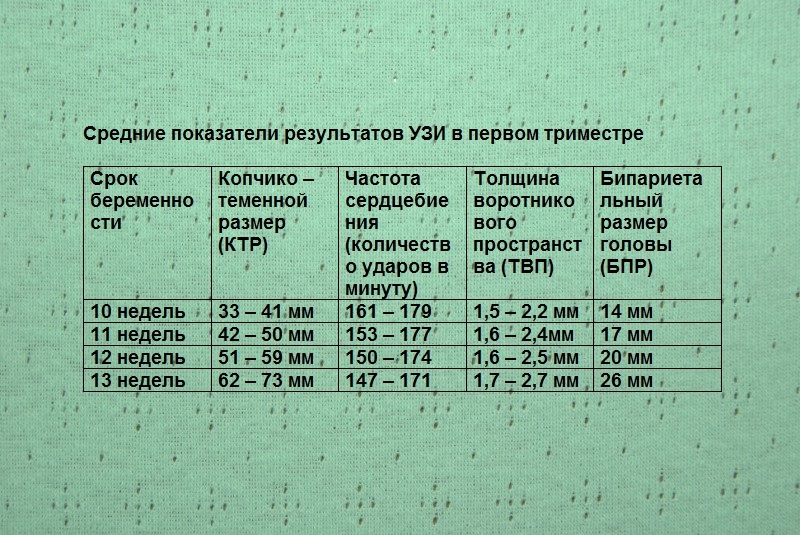 Priemerné ukazovatele