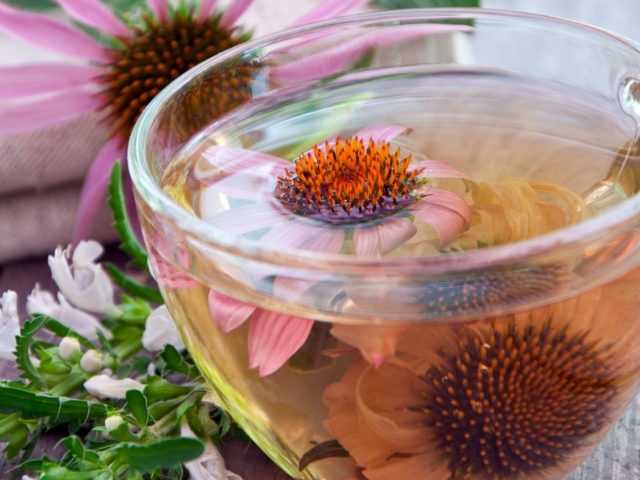 Echinacea tinktúra - utasítások a használatra. Az echinacea lila a tabletták, cseppek, kapszulák, ampulok immunitására: terápiás tulajdonságok, ellenjavallatok, mellékhatások