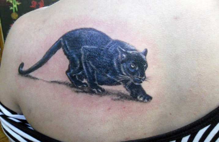 Beautiful tattoos with cats