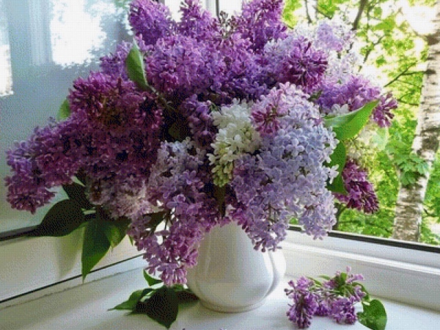 Why you can’t bring lilac to the house: signs and superstitions, Feng Shui