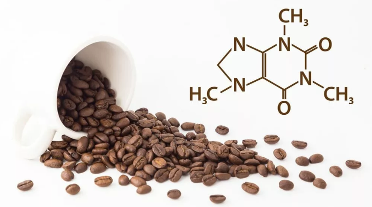 Caffeine: the best nootropic