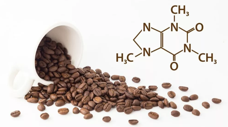 Koffein: a legjobb nootropikus