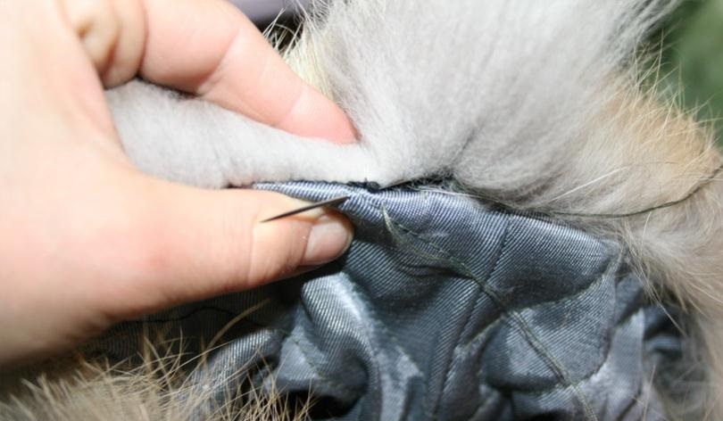 Сшивание меха и подкладки