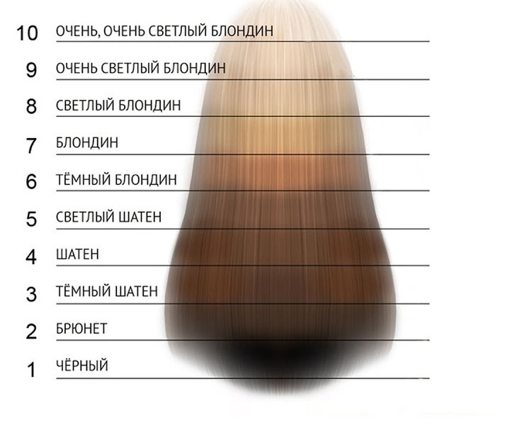 Human hair tone depth levels