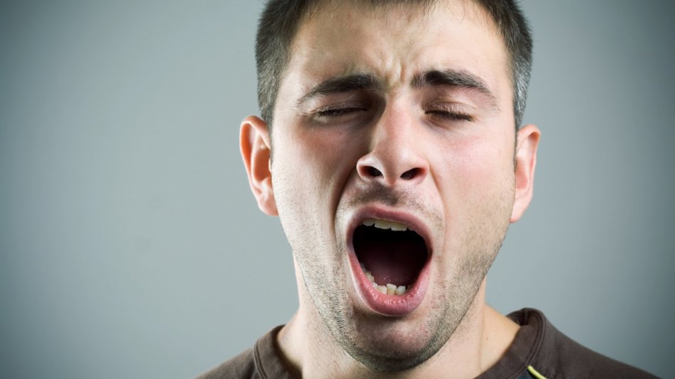 Why yawn on Monday: day and night yawns is true