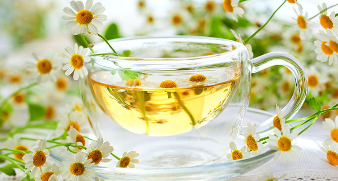 Chamomile