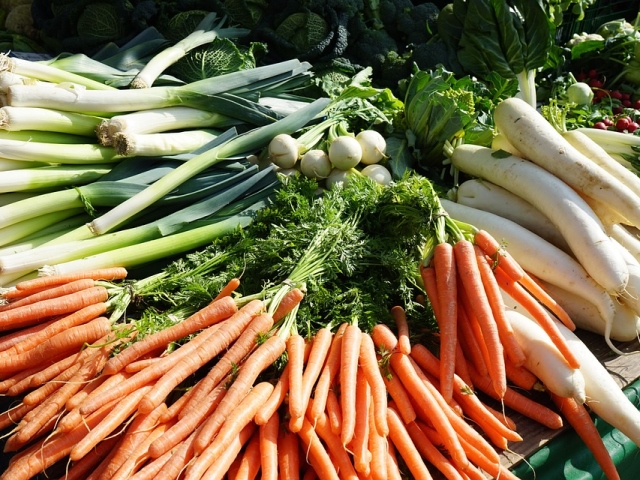 Planter et faire pousser des carottes dans les graines de printemps et d'automne en plein air: termes, méthodes, profondeur et schéma d'atterrissage, les meilleures variétés productives, soins après la plantation, pourboires. À quelle fréquence arroser les carottes après la plantation et comment se nourrir?