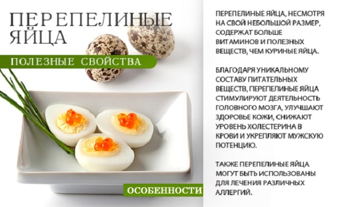 Beneficial properties of quail eggs