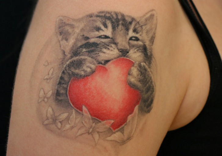 Сердце с котенком